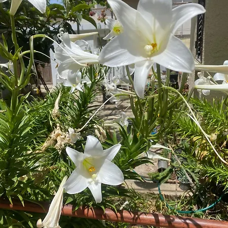 Retreat Block B1 Unit 13 * Agios Nikolaos (Famagusta)