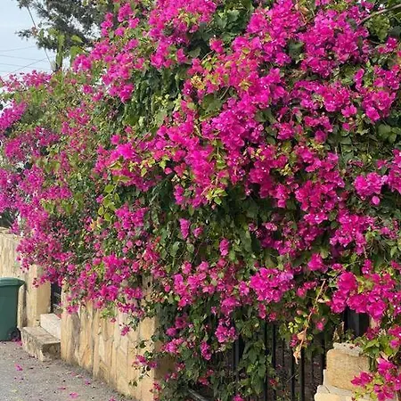 Retreat Block B1 Unit 13